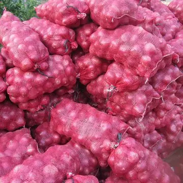 Новый урожай 100 органический лук горячая Распродажа большой красный свежий Премиум-Качества Сделано