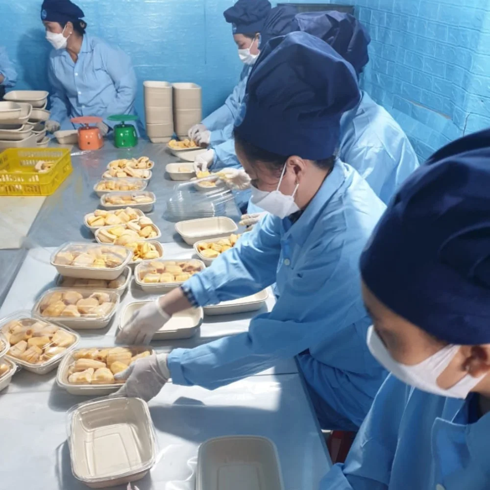 JACKFRUIT в замороженном без химического сахара в вакуумном пакете от поставщика VIET NAM