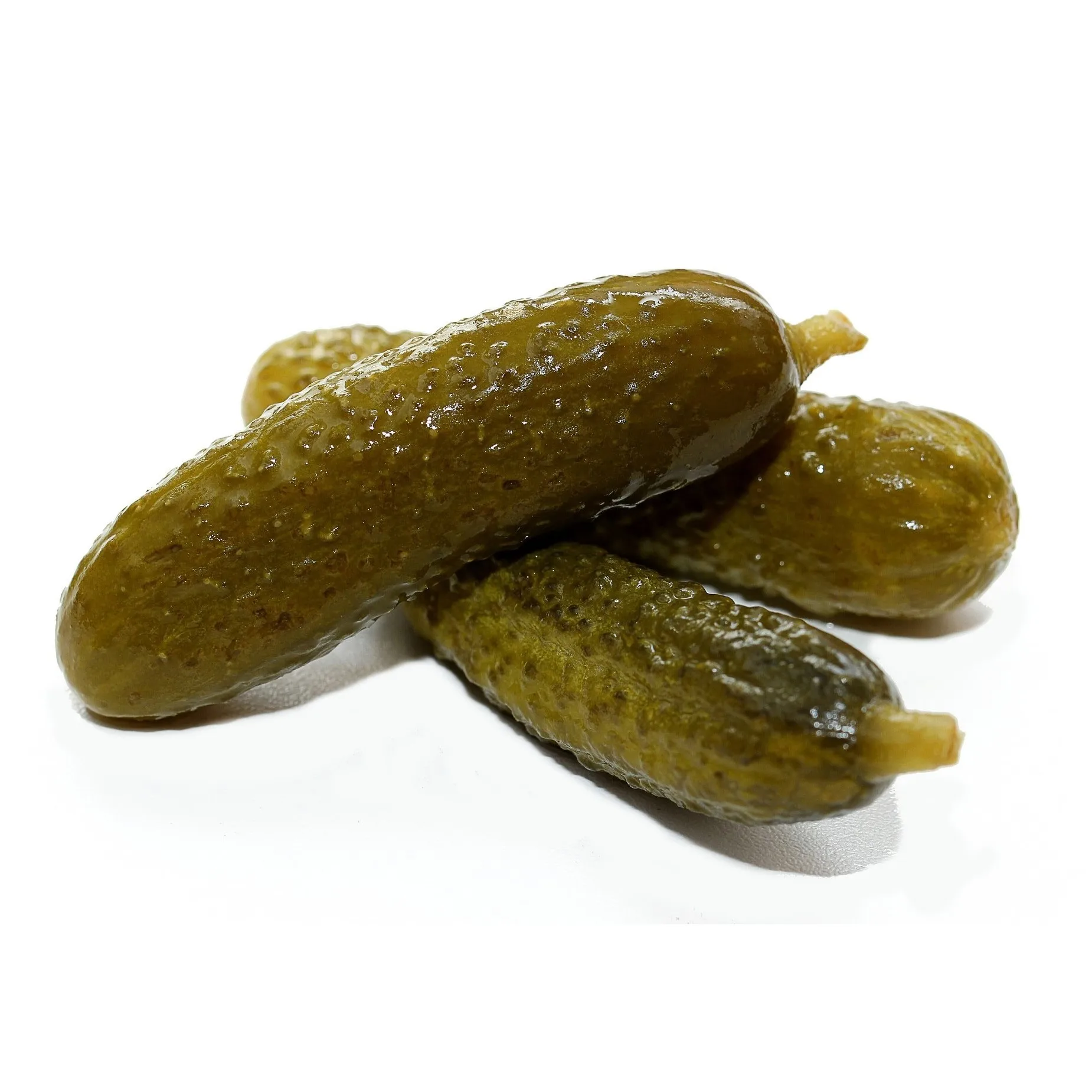 Sour pickled cucumbers best price baby cucumber in brine gherkin cornichon pickles supplied directly from Vietnam factory