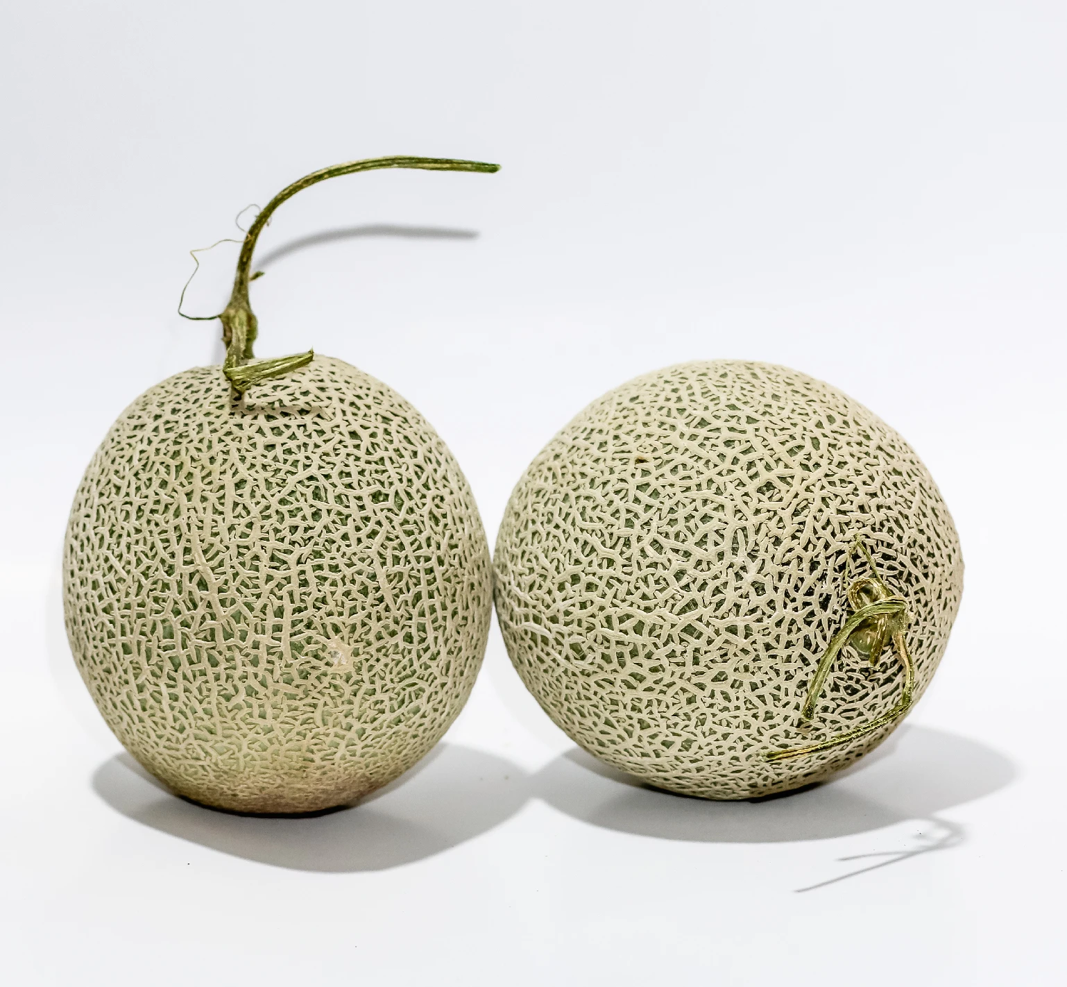 Premium quality fresh cantaloupe muskmelon sweet honeydew style holiday weight delta water type for sale