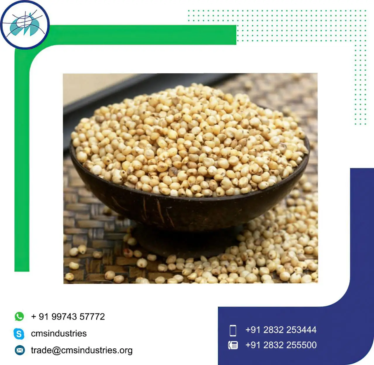 Good Supplier Lower Price Yellow or CH5 Sorghum