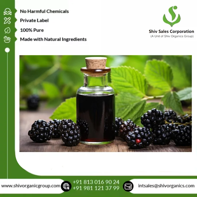 Premium 100% Pure Blackberry Seed Oil Cold Pressed Natural Oil for Cosmetics Skincare and Nutraceutical Applications