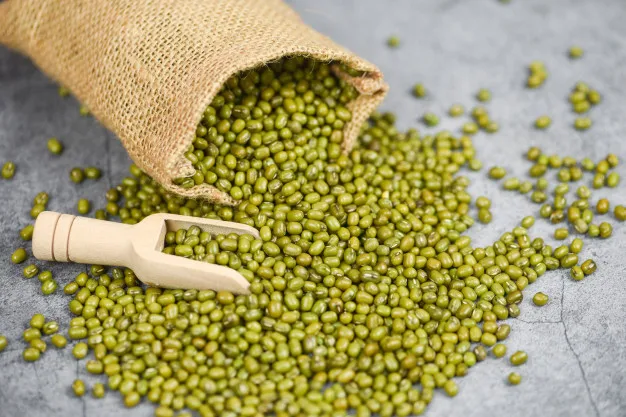 Wholesale Premium Quality Green Mung Beans