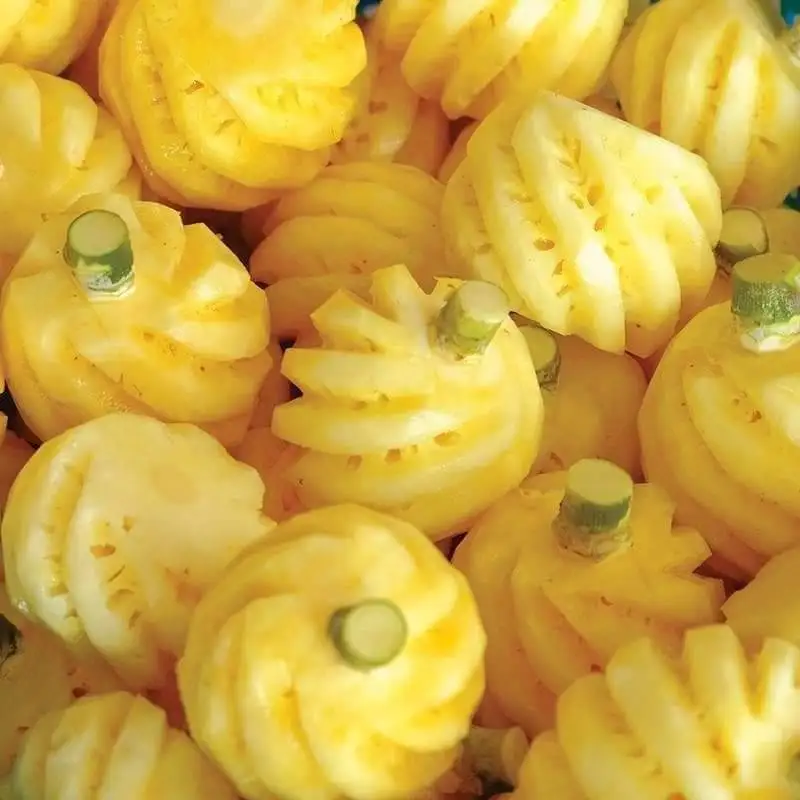 Premium Pineapple Fresh  Corer  From Thailand
