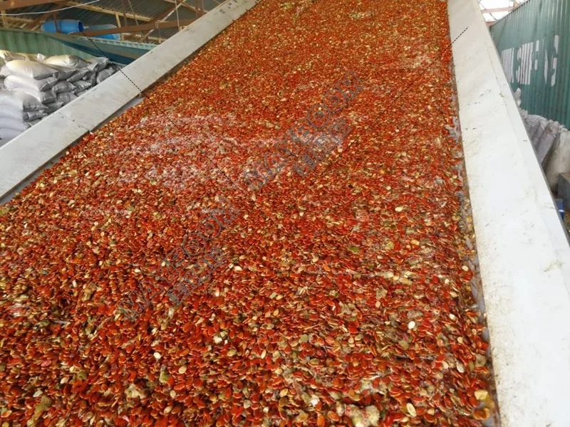 new designed 90% energy saving  water melon seeds sunflower seeds air dryer