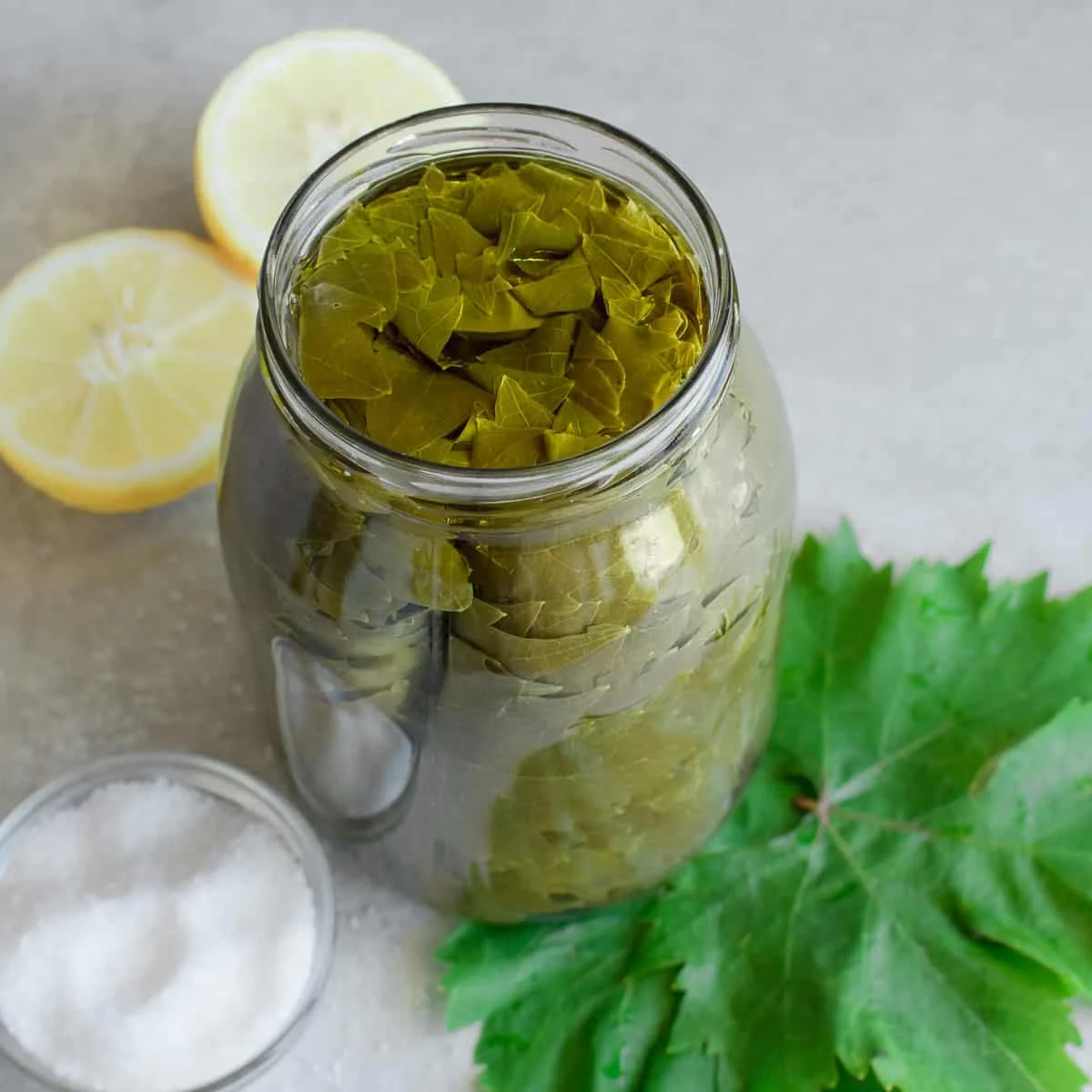 Wholesale Price Vietnam Manufacturer Supply Premium quality Tasty GRAPE LEAVES IN BRINE In Bucket 18kg/20kg