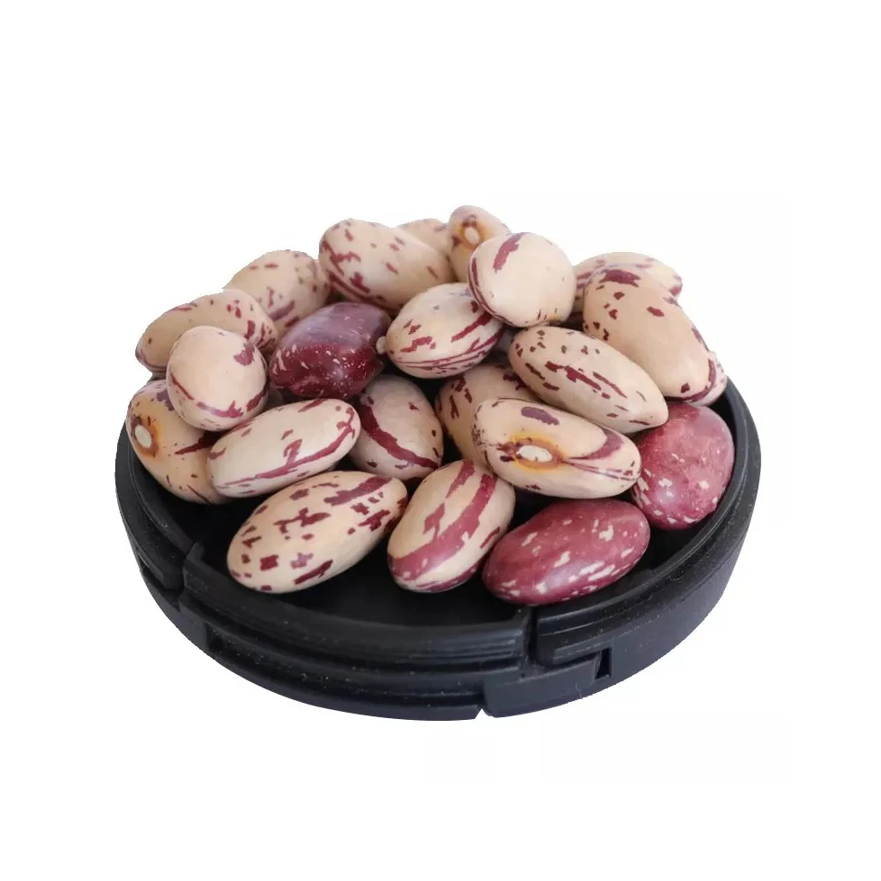 Widely Used Superior Quality Kidney Pinto Beans Wholesale Light Speckled Kidney Bean