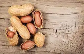 Peanuts Raw In Shell High Quality Peanuts Dried Egypt Top selling Peanuts wholesale bulk new crop