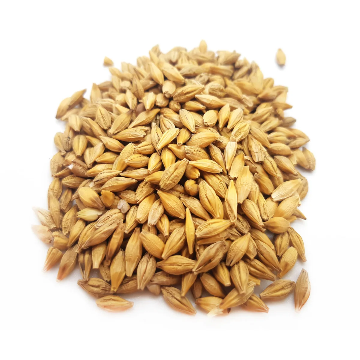 High quality barley grain worldwide shipping agricultural products for sale