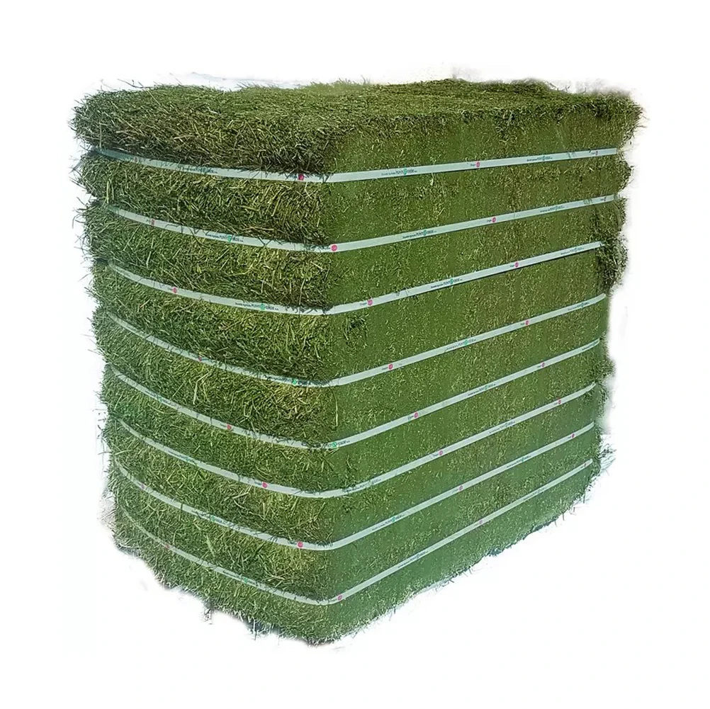 Quality alfalfa hay bays / Alfalfa pellets / Dehydrated Alfalfa cubes timothy hay