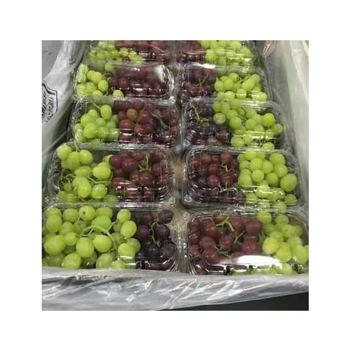 2024 Top Selling Excellent Quality Delicious and Sweet Taste Fresh Green Grapes Crimson Seedless Fresh Fruit Grape for Sale