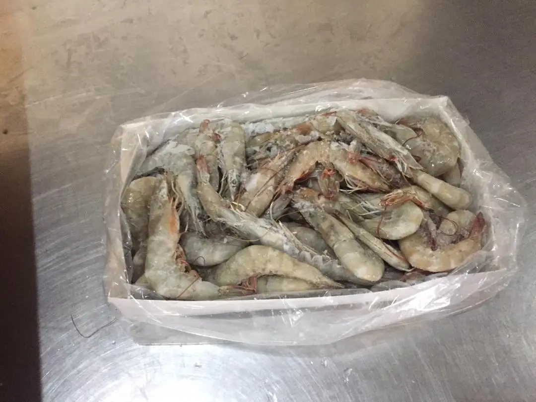 vannamei shrimp complete frozen bulk fresh top quality farm white pawns