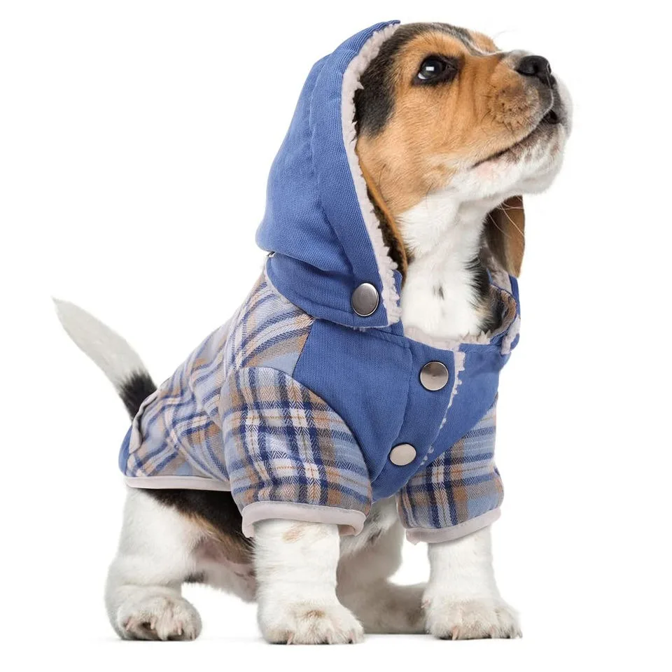 Luxury Branded Pet Clothes Sweater The Dog Face Dog Jacket Hoodie