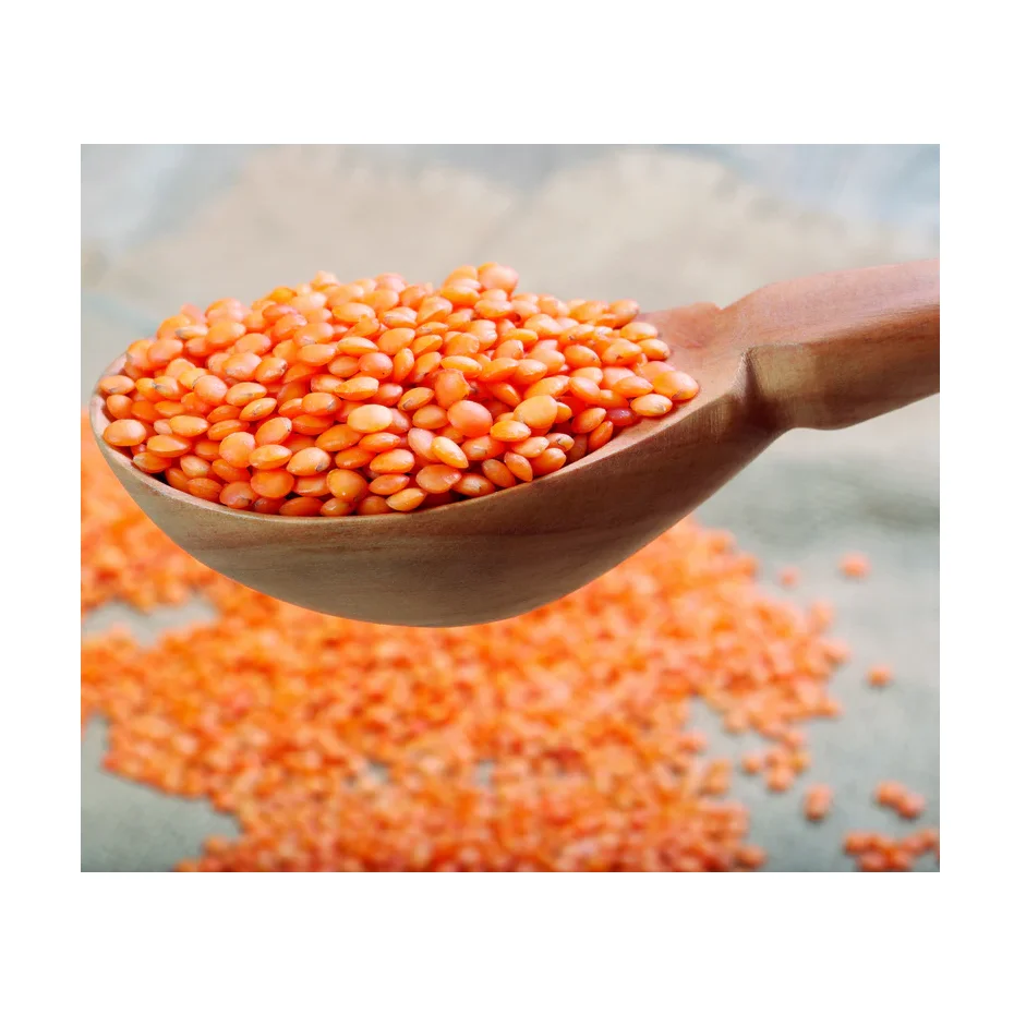High Quality Cheap Wholesale Price Organic Canadian Red Lentils / Split Red Lentils For sale