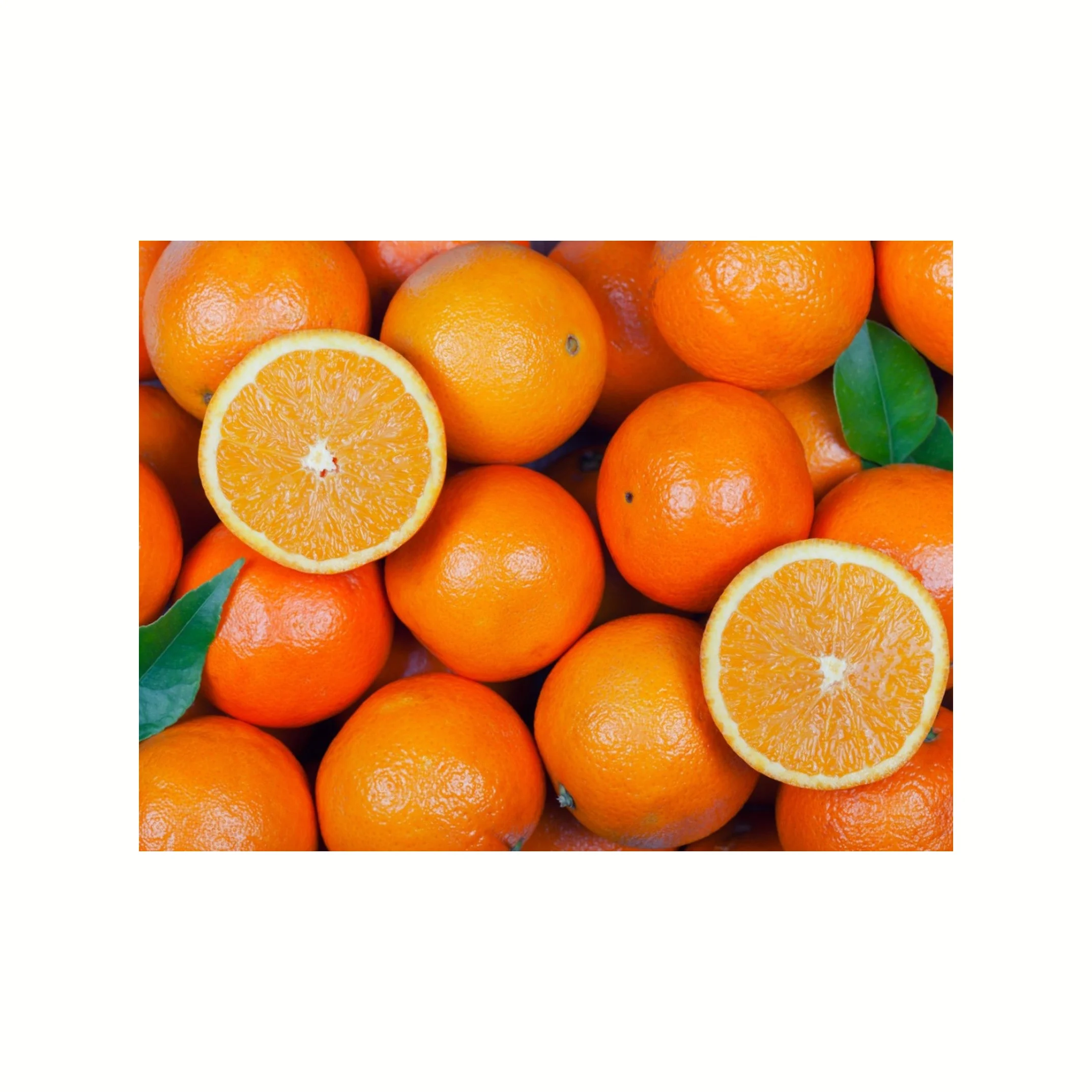 Pure Natural Fresh Citrus Naval Oranges Valencia Orange Lemons Mandarins Supplier Ready For Export