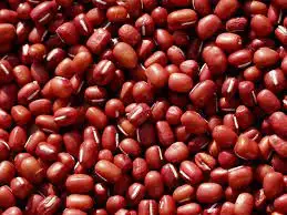 High Quality Dried Adzuki Beans / Azuki Beans