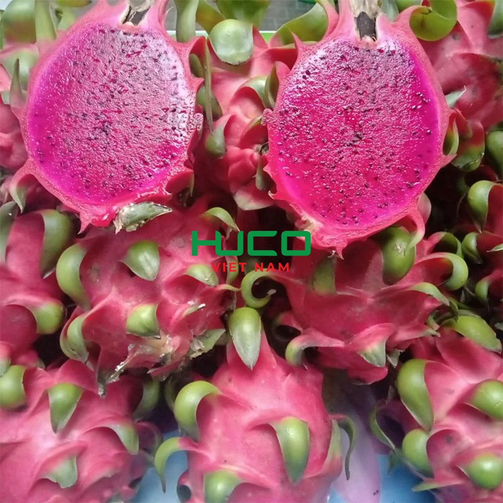 New Crop Fresh Fruit From Viet Nam Premium Quality Red Flesh Dragon Fruit 100% Organic Fresh Fruit