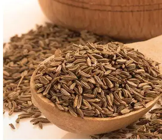 Top class Singapore Europe quality 99% cumin seed price from India