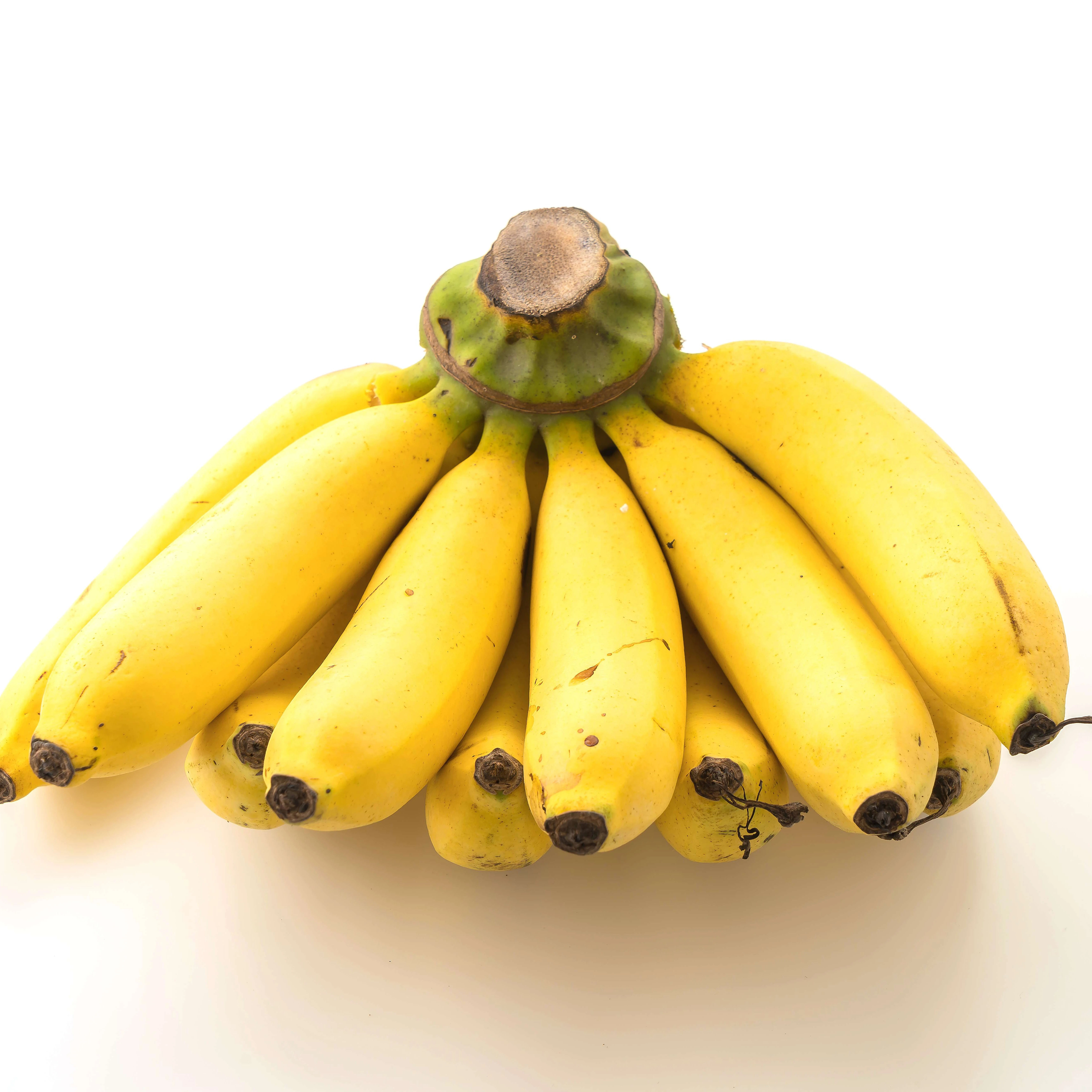 Желтые бананы, лучшие цены, высококачественные тропические фрукты, вьетнамские кавендишские зеленые бананы премиум-класса от производителя Viet Nam