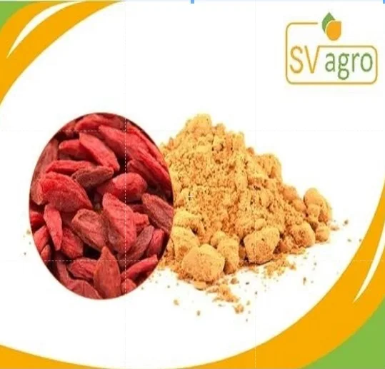 Pure Goji Berry Extract Supplement for Immune Support and Skin Health from Indian Supplier