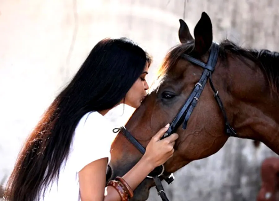 Premium Quality Western Show Saddle: Make Every Ride Memorable for Elevate Your Riding Experience with Classic Design