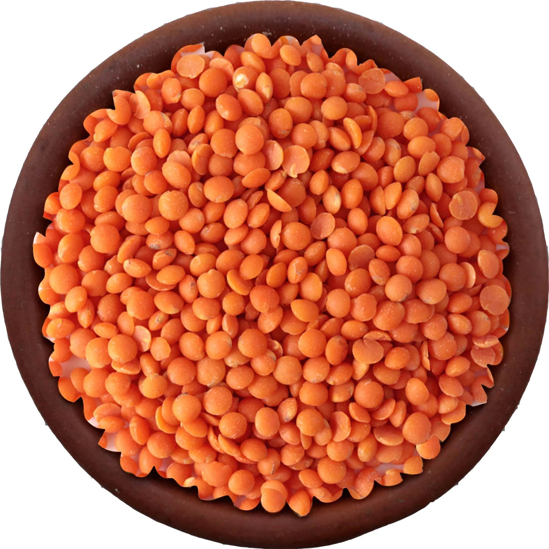 2023 Available red lentils with reasonable price and fast deliver/red lentils