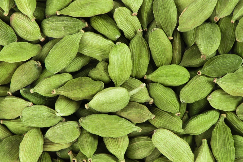 Cheap Price hot High Quality 6mm 7mm 8mm Indian Green Cardamom Spicy Taste Spice Round Shape Green 20-25 KG 12 Month Shelf Life