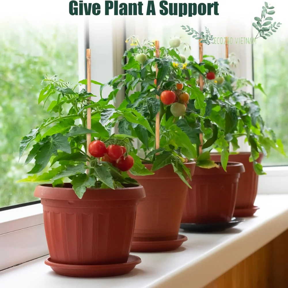 Natural Bamboo Stick For Plant/ Bamboo Stick For Supporting Flower With High Quality Bamboo in Vietnam Made by Eco2go