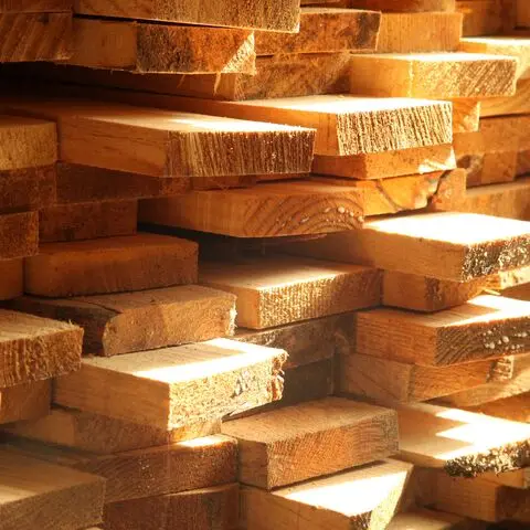 Best Price Good Quality timber wood logs For Sell