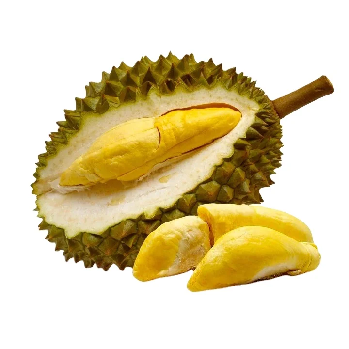 Sweet and Fresh Durian from Vietnam with Export quality Quick Response and Good price from Vietnam high quality frozen Duriann