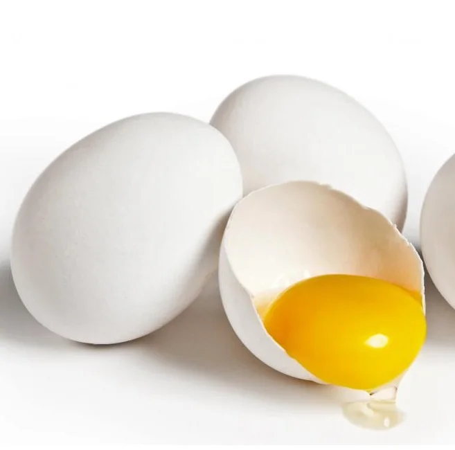 Wholesale Supplier of Fresh Eggs Brown and White Chicken Eggs