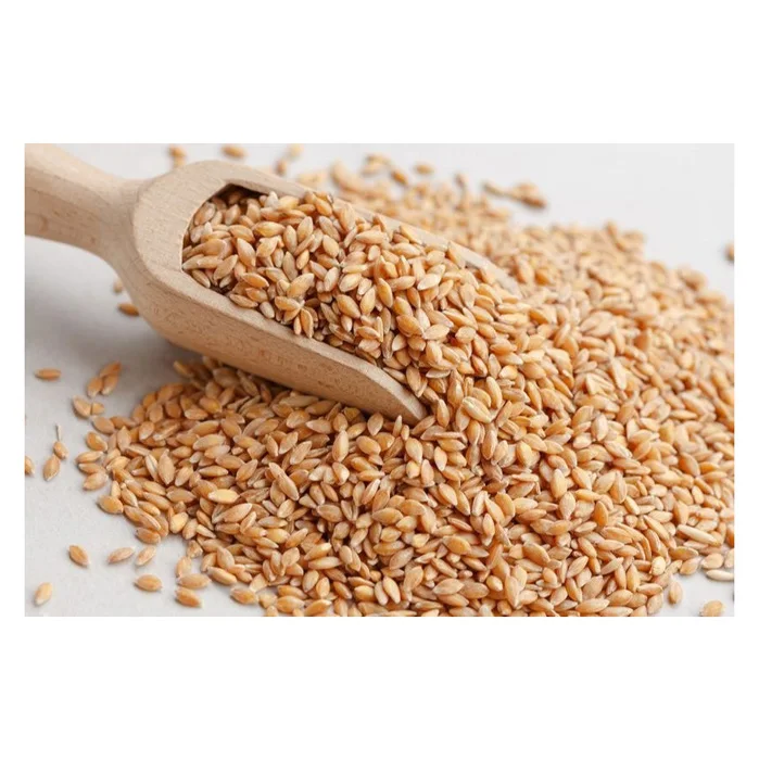 PREMIUM QUALITY Whole-grain Wheat Cereal Wheat Grain for Human Consumption