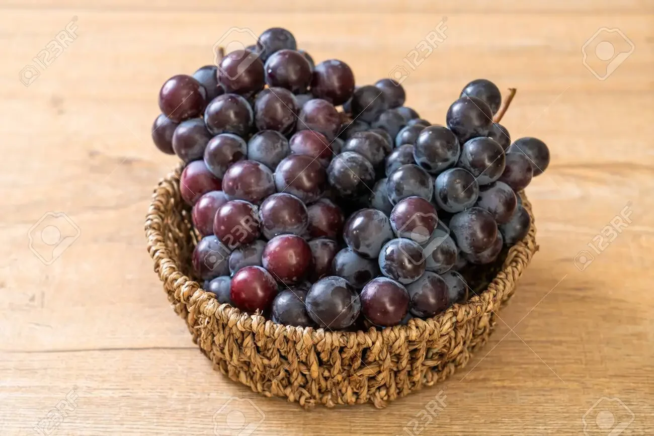 Highest Quality Premium Black Grapes with Good Sweet Content and Flavorful Available at Wholesale Price from Indian Exporter