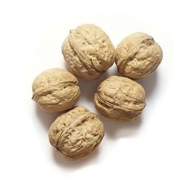 Organic Walnuts / Premium Quality Walnuts Kernel