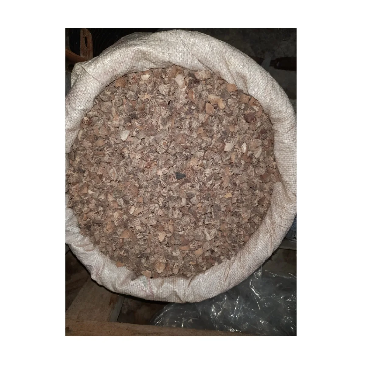 Оптовая продажа, низкая цена 100%, высокое качество, сушеные индонезийские орехи Betel, орехи Areca, экспорт из бангладеш