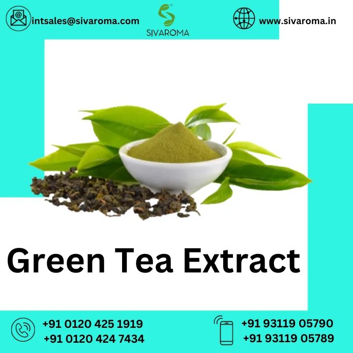 Green Tea Extract (MI).png