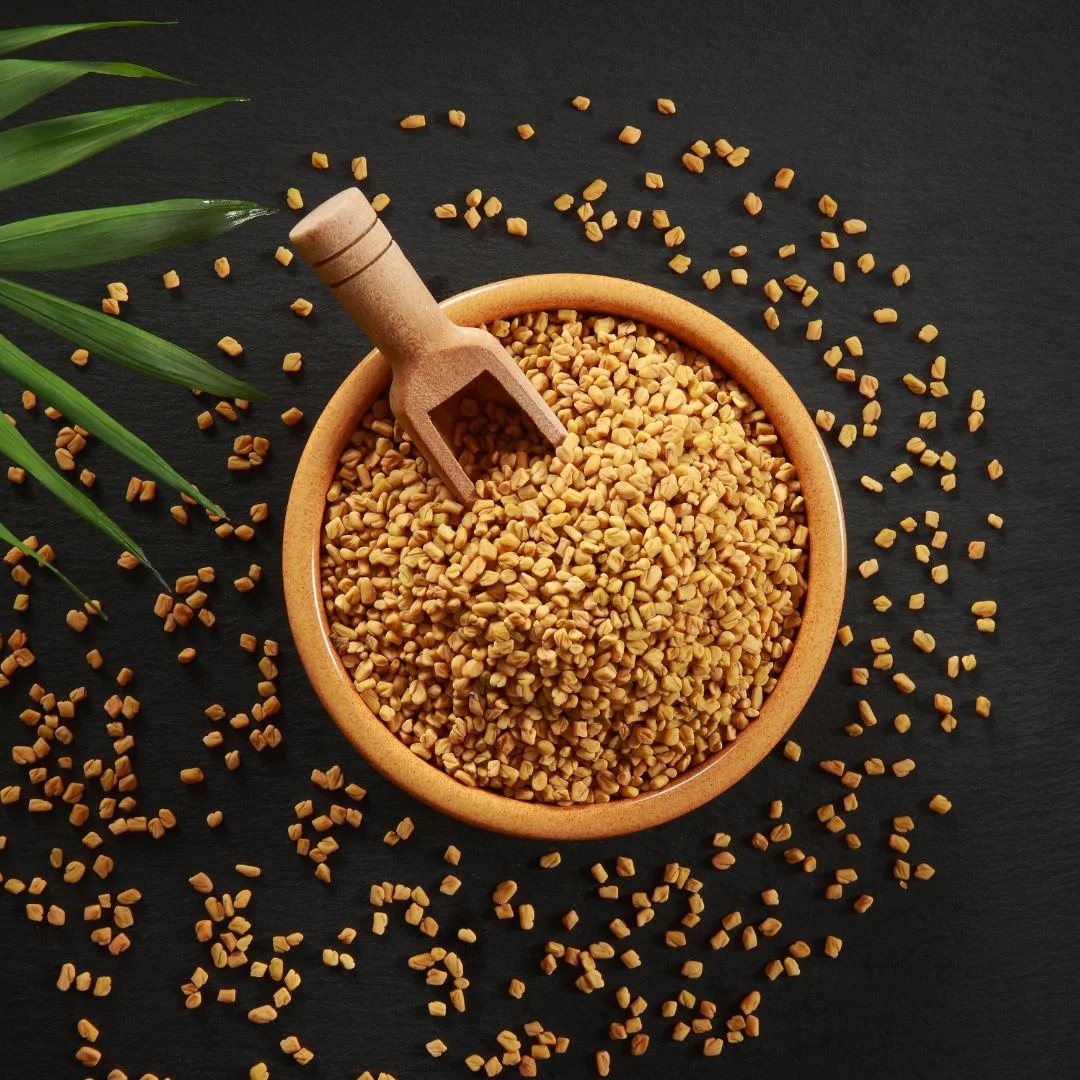 New Arrival Natural Fenugreek Seeds Varieties Food Grade Spices Fenugreek Seeds Wholesale Price