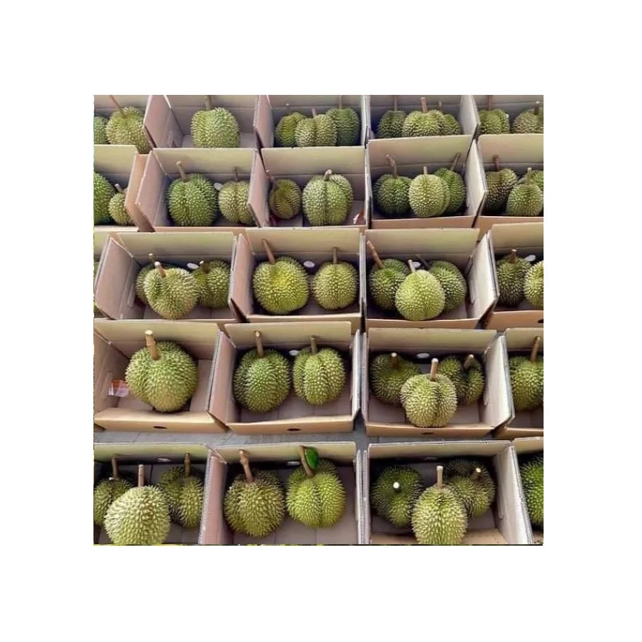 Fresh Durians Fruit Monthong Durian Sweet and Delicious Natural 100% from Thailand Premium Quality First Grade