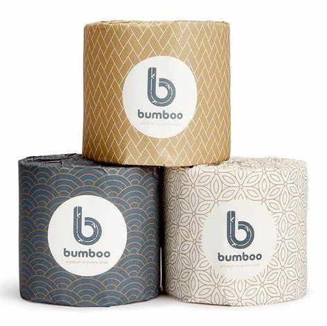 Natural White core Printed embossing 12 rolls virgin wood toilet paper roll biodegraded Toilet tissue