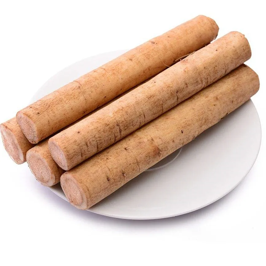Premium Fresh great burdock Chinese herbal fresh burdock root