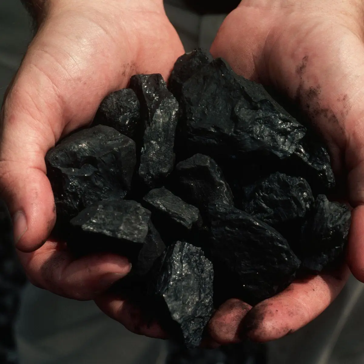 metallurgical graphite petroleum coke 1-5mm cpc calcined green pet coke petroleum coke price per ton Carbon Additive