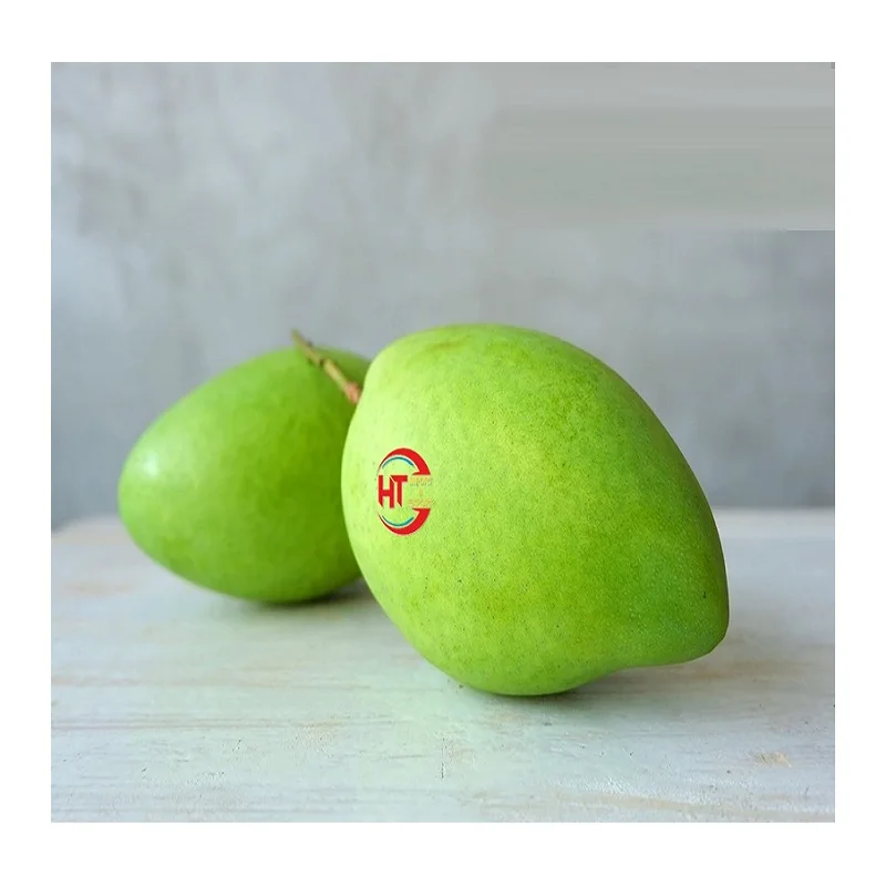 Export A Grade Quality Vietnam Organic Fresh Fruit Sweet and Sour Taste Unripe Maturity Green Hoa Loc Mango