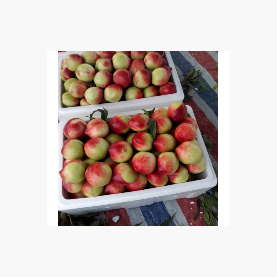 Свежие персики и нектарины