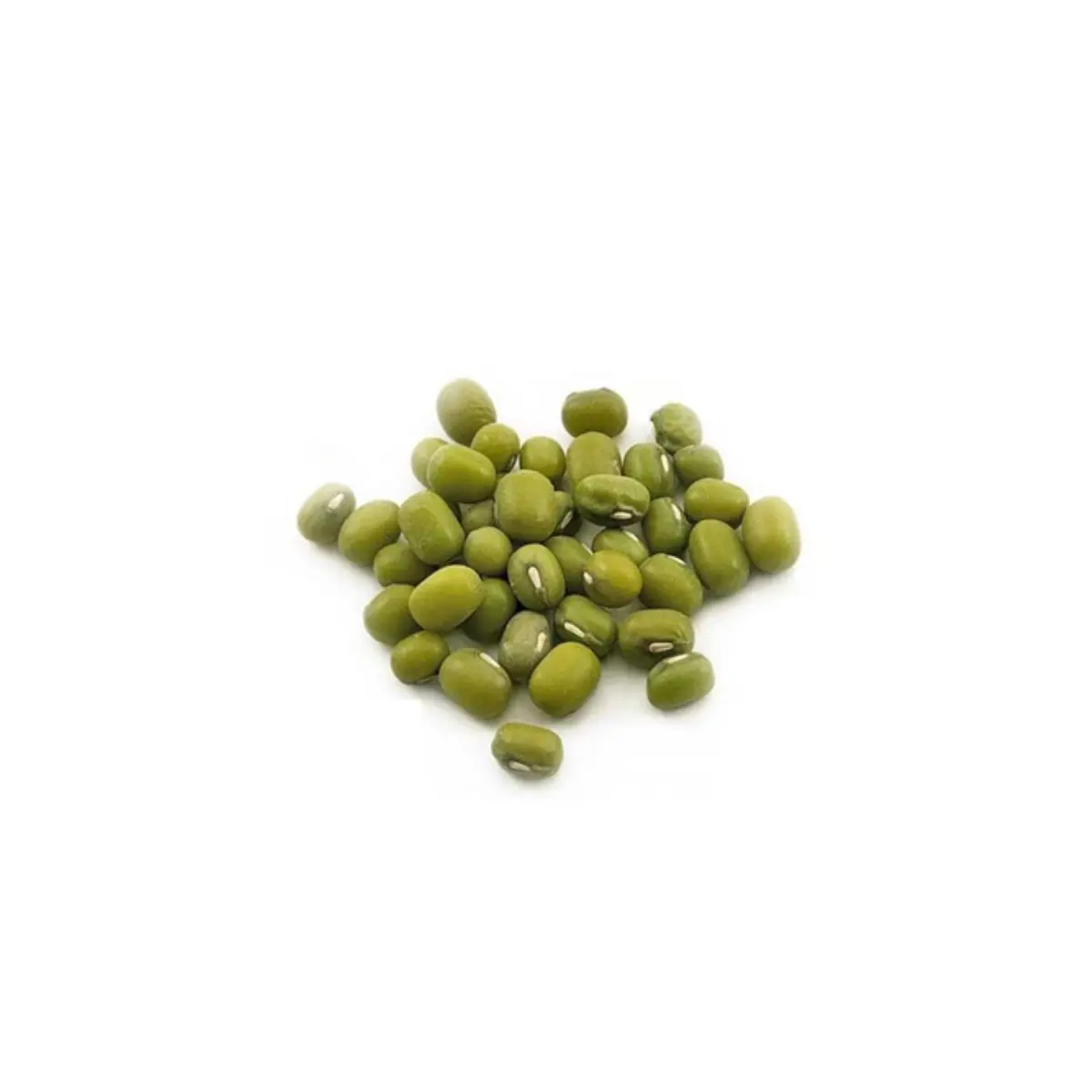 whole sale Green mung bean Moong dal sprout mung beans use for sale