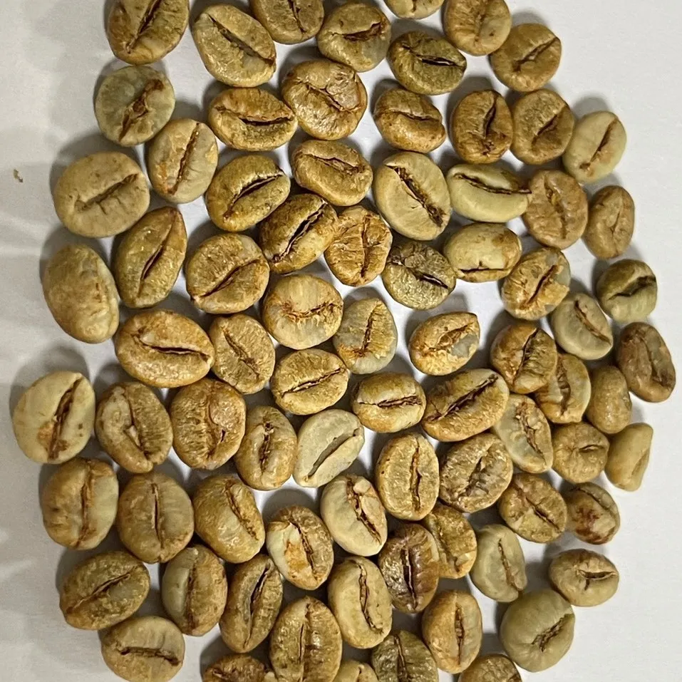 Кофейные зерна Robusta 1 класса вьетнамский кофейные экран 18