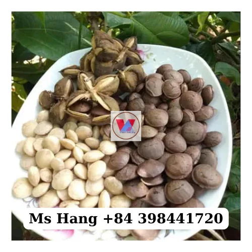 GOOD PRICE | Sacha Inchi Nuts/ Inca Peanut/ Plukenetia Volubilis From Factory In Vietnam