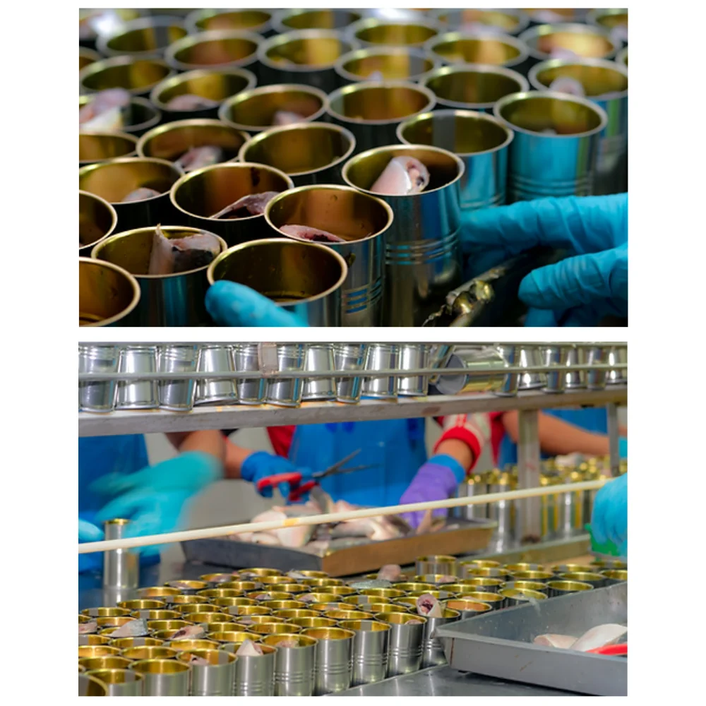 155g Sardine Seafood  in Can Tin Fish Baby Food Warmer Set Customized Style Packing Balance Container Weight Sardine Thailand