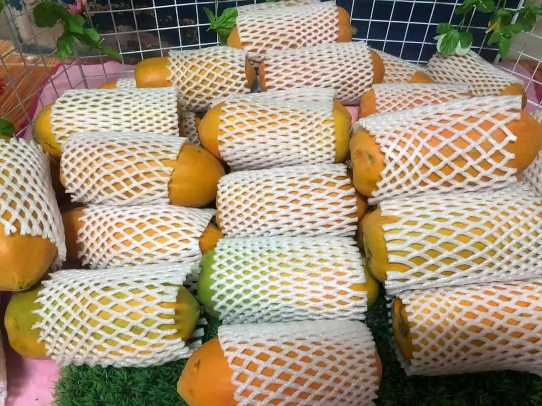 papaya3.jpg