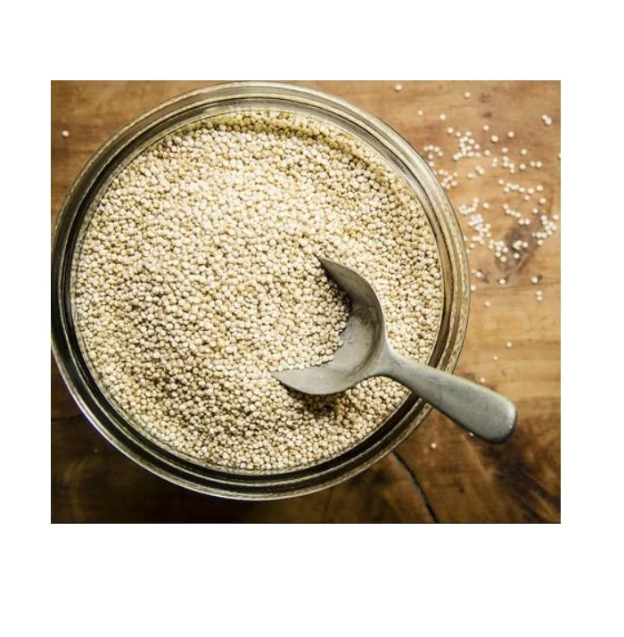 Premium Quality Pseudocereal Grains Sale Get Your Superfood Grains