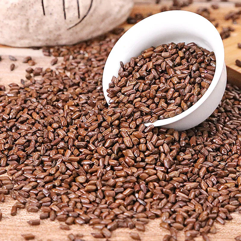China Single spices supplier Wholesales 2023 new crop top quality cassia seeds healthy food cassia seed tea herb tea senna seeds